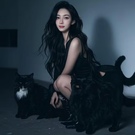 �˵��D���H�ɮ�